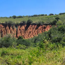 Addo Elephant National Park - Port Elizabeth