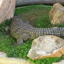 Bayworld - Port Elizabeth