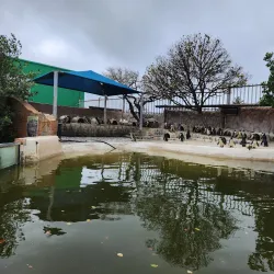 Bayworld - Port Elizabeth