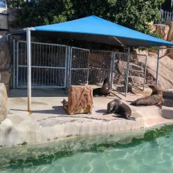 Bayworld - Port Elizabeth