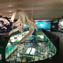 Bayworld - Port Elizabeth