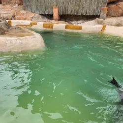 Bayworld - Port Elizabeth