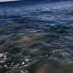 King's Beach - Port Elizabeth