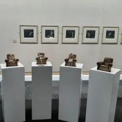 Nelson Mandela Metropolitan Art Museum - Port Elizabeth