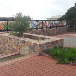 Route 67 - Port Elizabeth