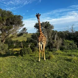 Seaview Predator Park - Port Elizabeth