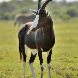 Seaview Predator Park - Port Elizabeth