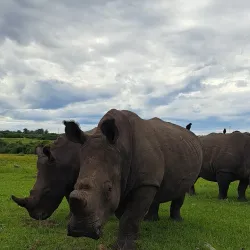 Seaview Predator Park - Port Elizabeth