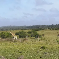 Seaview Predator Park - Port Elizabeth