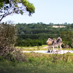 Seaview Predator Park - Port Elizabeth