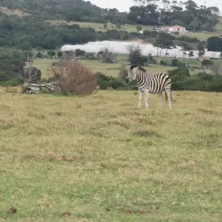 Seaview Predator Park - Port Elizabeth