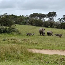 Seaview Predator Park - Port Elizabeth