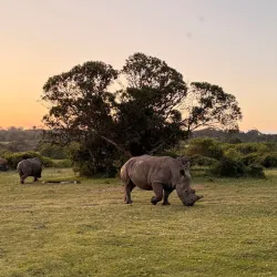 Seaview Predator Park - Port Elizabeth