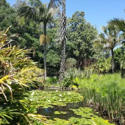 St George's Park - Port Elizabeth