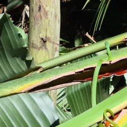 Marina Beach - Port Shepstone
