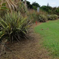 Port Shepstone Golf Club - Port Shepstone