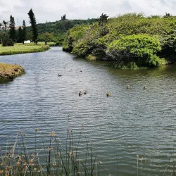 Port Shepstone Golf Club - Port Shepstone