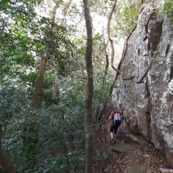 Umtamvuna Nature Reserve - Port Shepstone
