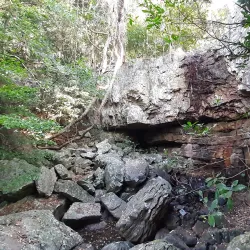 Umtamvuna Nature Reserve - Port Shepstone