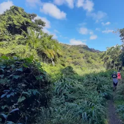 Umtamvuna Nature Reserve - Port Shepstone