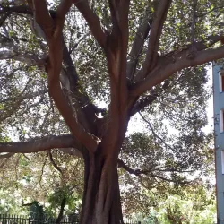 Melrose House Museum - Pretoria