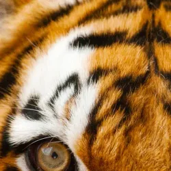 National Zoological Gardens of South Africa - Pretoria