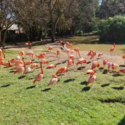 National Zoological Gardens of South Africa - Pretoria