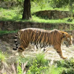 National Zoological Gardens of South Africa - Pretoria