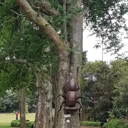 Pretoria National Botanical Garden - Pretoria