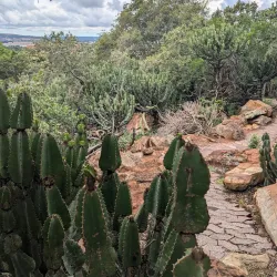 Pretoria National Botanical Garden - Pretoria