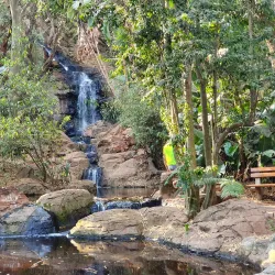 Pretoria National Botanical Garden - Pretoria