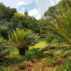 Pretoria National Botanical Garden - Pretoria