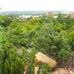 Pretoria National Botanical Garden - Pretoria