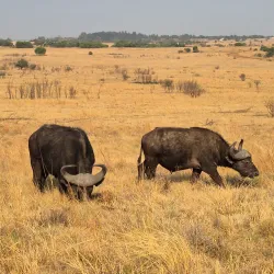 Rietvlei Nature Reserve - Pretoria