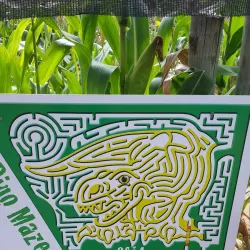 Honeydew Mazes and Fun Farm - Randburg