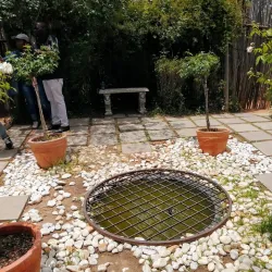 Honeydew Mazes and Fun Farm - Randburg