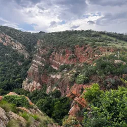 Walter Sisulu National Botanical Garden - Randburg