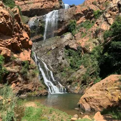 Walter Sisulu National Botanical Garden - Randburg