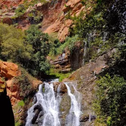 Walter Sisulu National Botanical Garden - Randburg