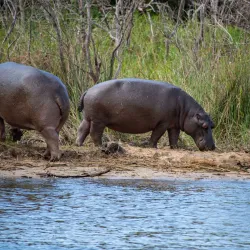 iSimangaliso Wetland Park - Richards Bay