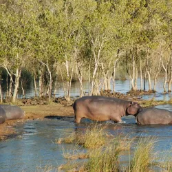 iSimangaliso Wetland Park - Richards Bay
