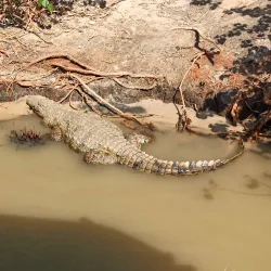iSimangaliso Wetland Park - Richards Bay