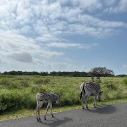 iSimangaliso Wetland Park - Richards Bay