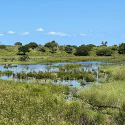iSimangaliso Wetland Park - Richards Bay