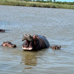 iSimangaliso Wetland Park - Richards Bay