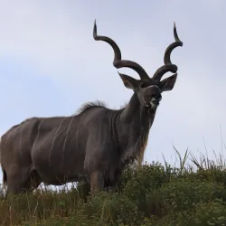 iSimangaliso Wetland Park - Richards Bay