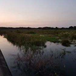 Lake Mzingazi Nature Reserve - Richards Bay