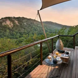 Phinda Private Game Reserve - Richards Bay