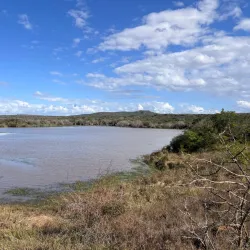 Phinda Private Game Reserve - Richards Bay