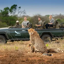 Phinda Private Game Reserve - Richards Bay